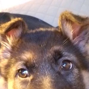 Meet your Posher, Lori